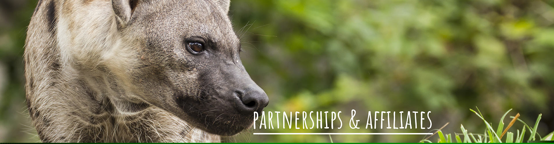 Partnerships and Affiliates