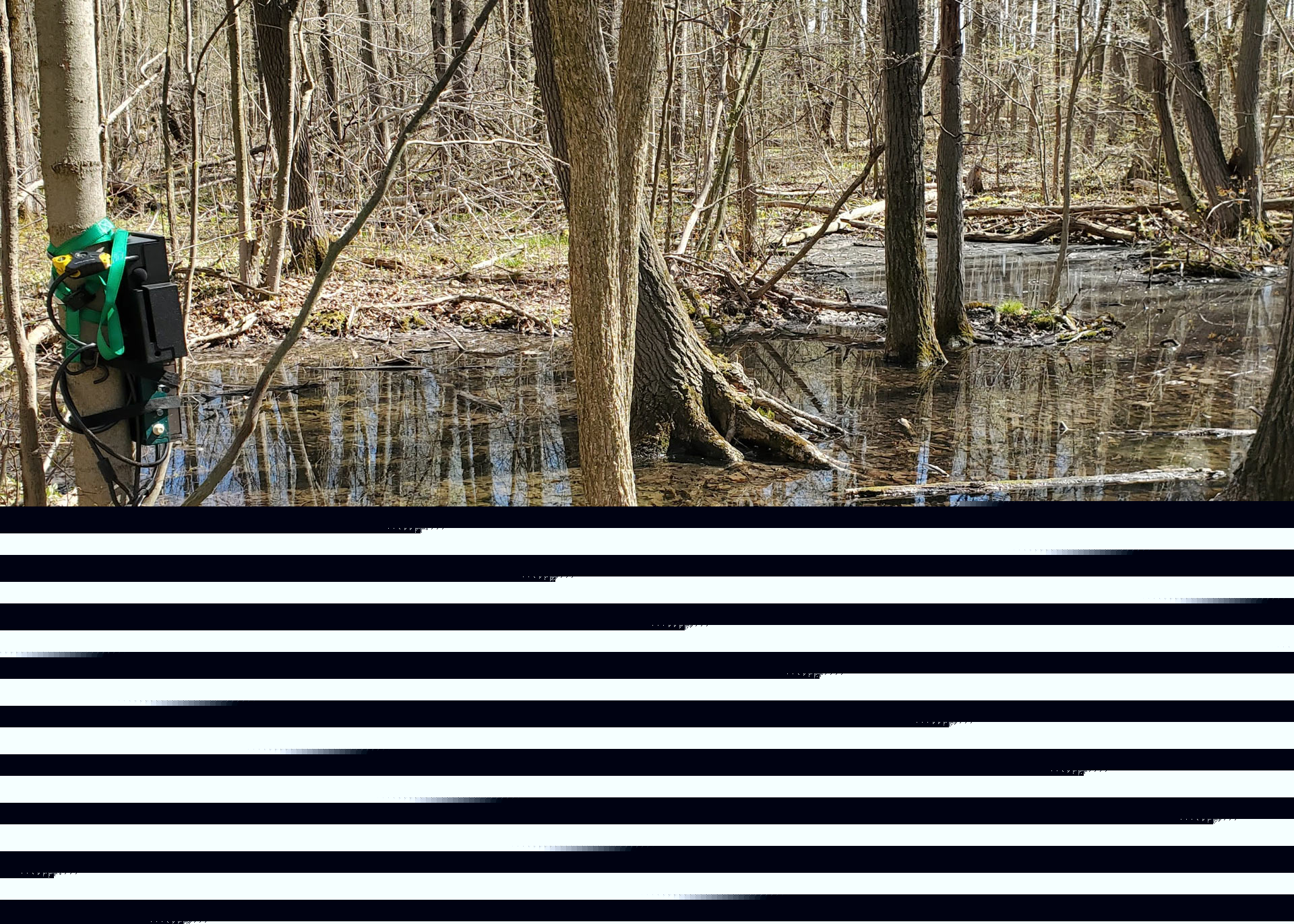 Acoustic monitor installed near a vernal pond.